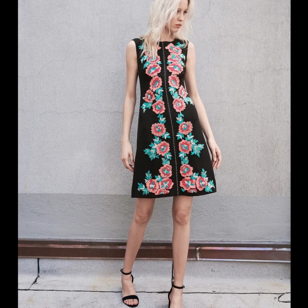 Beautiful embroidered Nanette lepore  shift dress